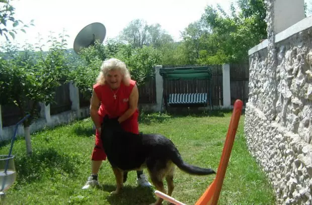 poze-in-curte-002-1-620x408