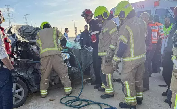 tlalim29126_autoorient_i