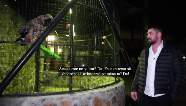 Captură-de-ecran-din-2020.12.10-la-13.33.59