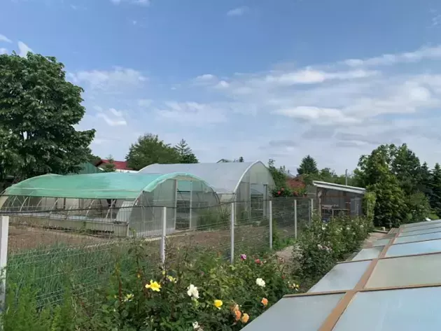 casa-tora-vasilescu-buftea-3