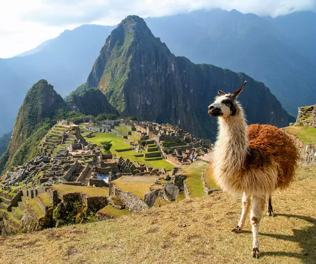 Machu Picchu