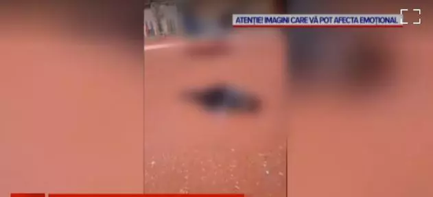 Copil trântit în parc Hunedoara (2)