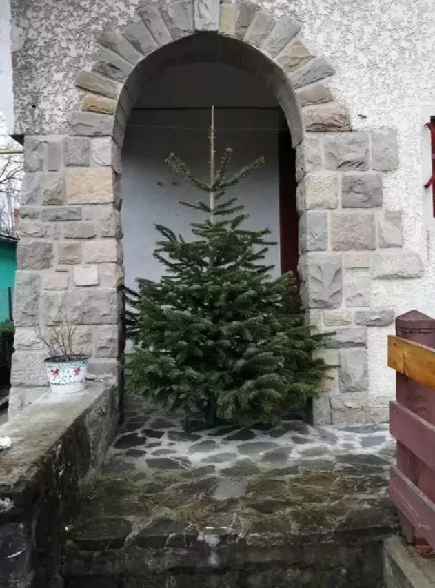 casa-marina-voica-16