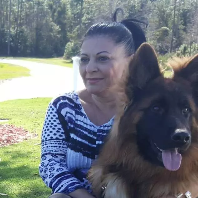 26166183_1497652983685977_7519137365448256241_n