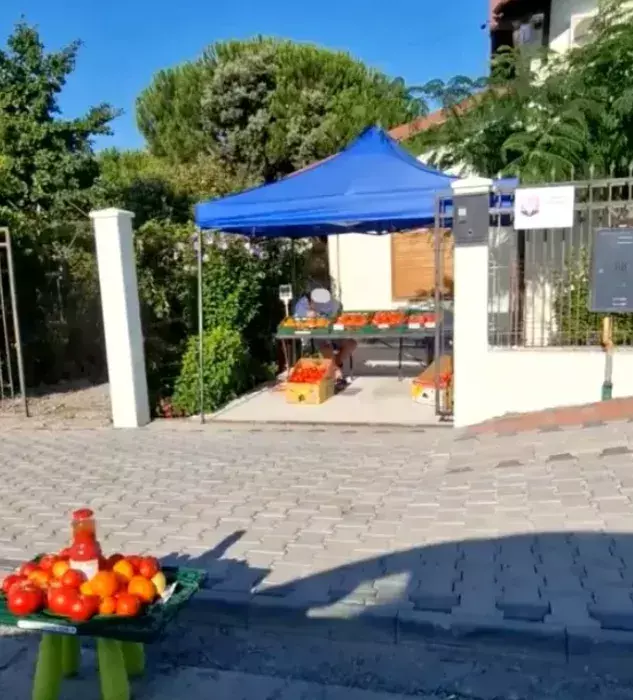 casa-alexandru-arsinel