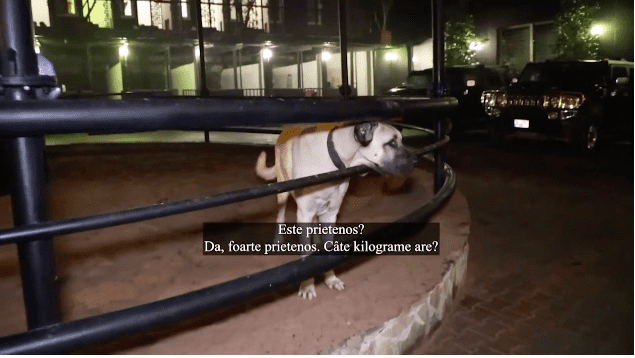 Captură-de-ecran-din-2020.12.10-la-13.34.23