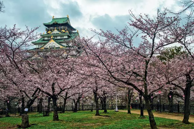 Castelul Osaka