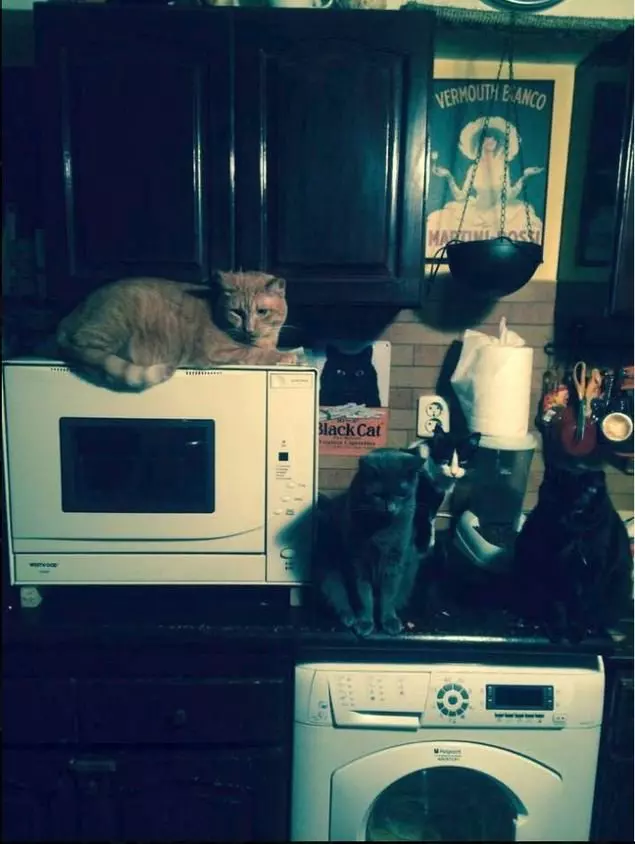 Carmen Tanase adora animalele