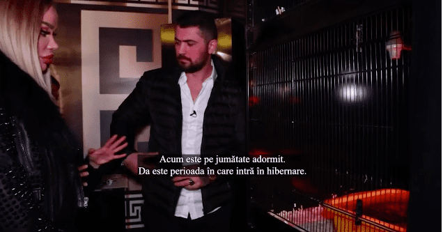 Captură-de-ecran-din-2020.12.10-la-13.32.28