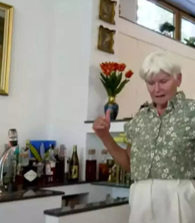 imagini casă Monica Tatoiu (3)