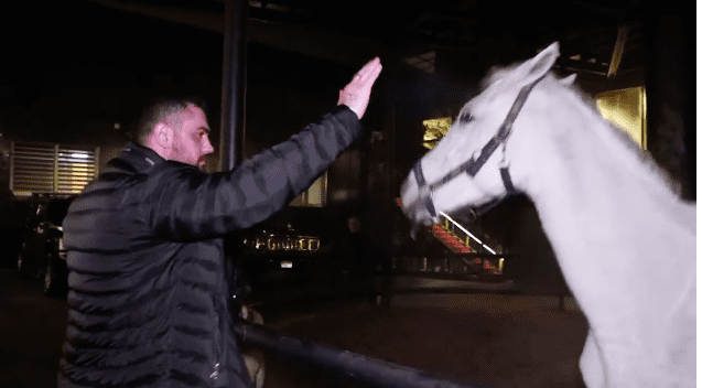 Captură-de-ecran-din-2020.12.10-la-13.35.03