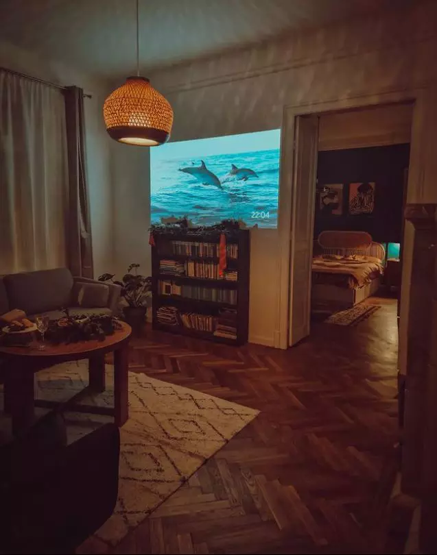Dana-Rogoz-apartament-1