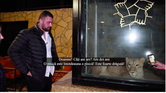 Captură-de-ecran-din-2020.12.10-la-13.32.50