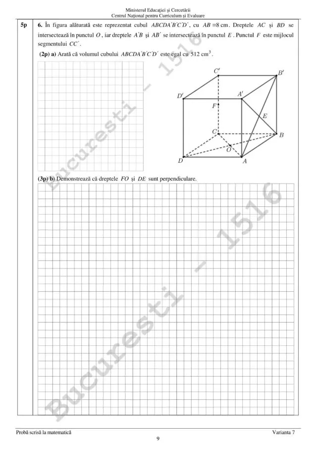 subiecte matematica 9