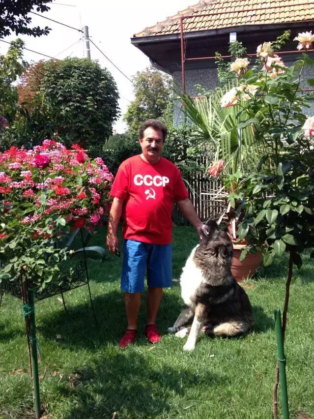 mitu-stoian-ultima-dorinta-7