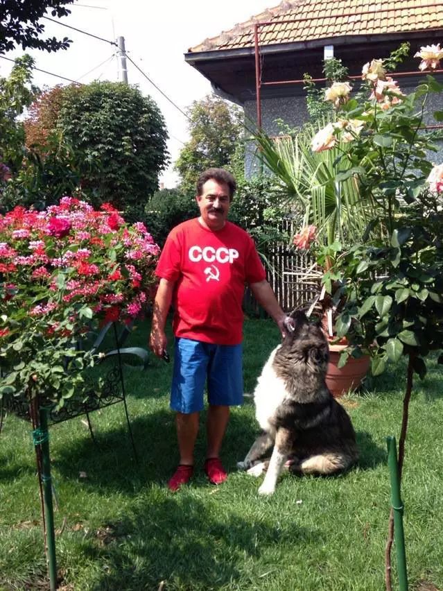 mitu-stoian-cauza-mortii-7-1