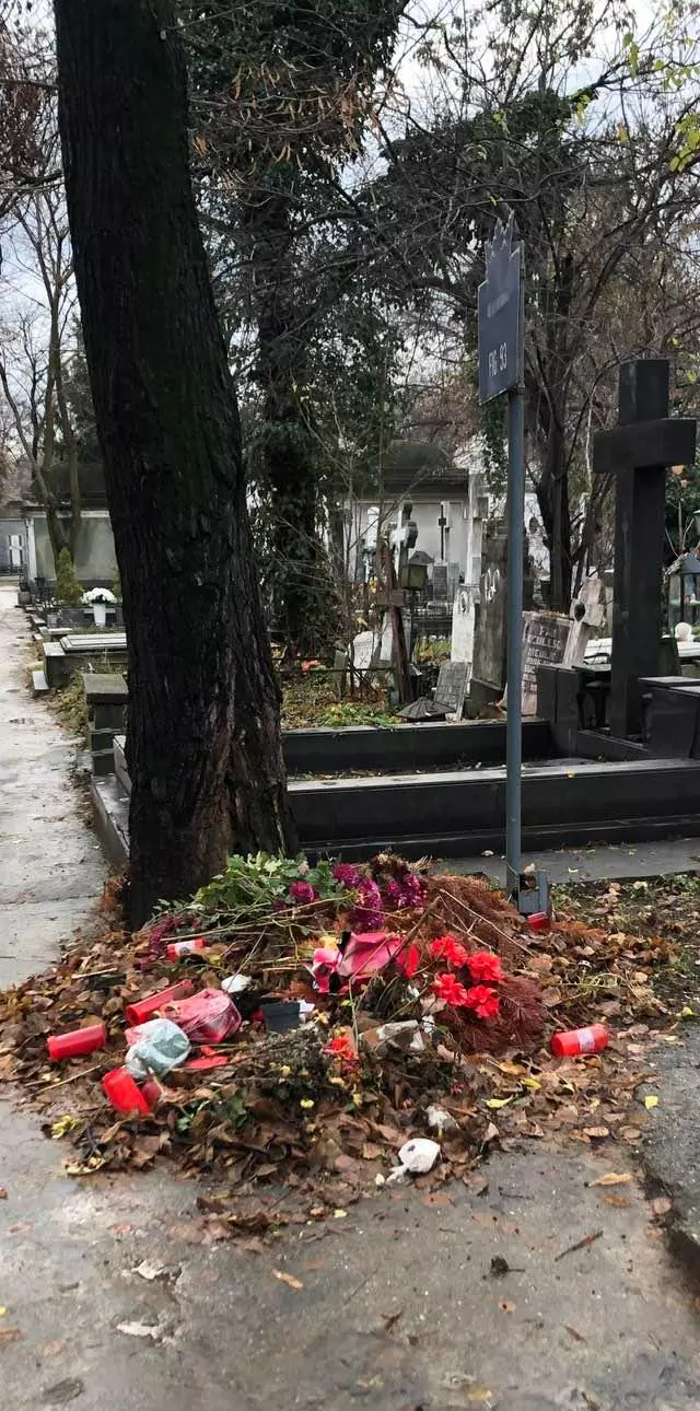 Oana Pellea, mesaj acid