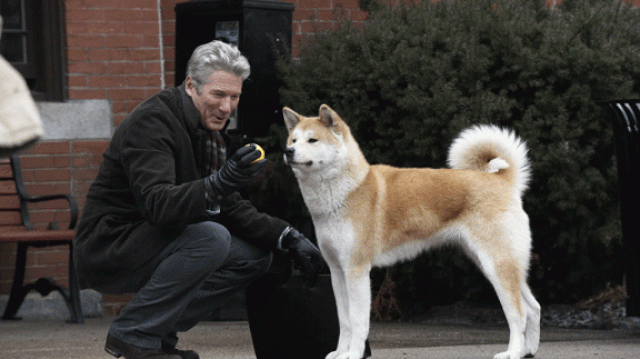 Recomandarea TVmania: „Hachiko: Povestea unui câine”, cu Richard Gere