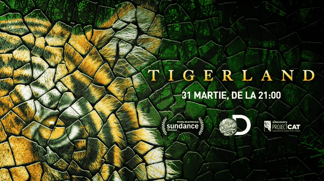 Discovery România sărbătorește pe 30 martie Ora Pământului și premiera noului documentar „Tigerland”