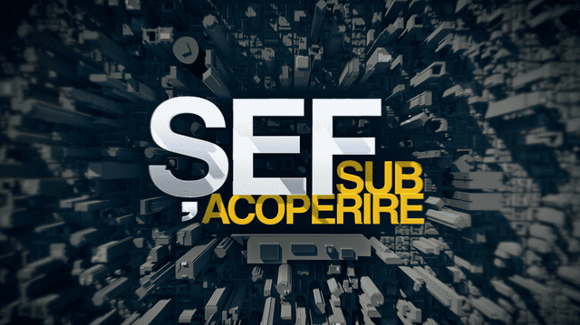 Protagonista următorului episod „Șef sub acoperire” (Pro TV), șefa uneia dintre cele mai mari companii de la noi