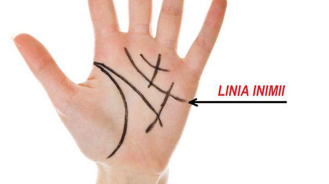 Ce Taine Ascunde Linia Inimii Din Palma Ta Superstiții Libertatea Pentru Femei