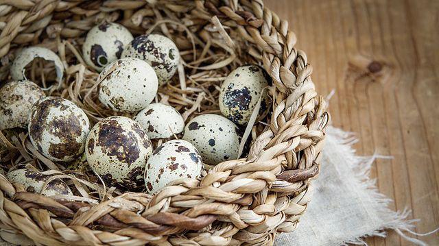 Ouăle De Prepeliță Previn Bolile Cronice