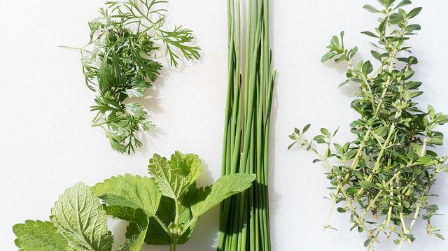 6 Legume Care Tolerează Umbra Află Care Sunt Acestea