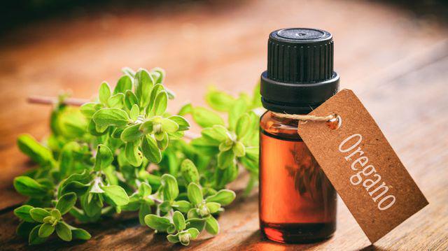 Tot Ce Trebuie Să știi Despre Uleiul De Oregano Un Antibiotic Puternic