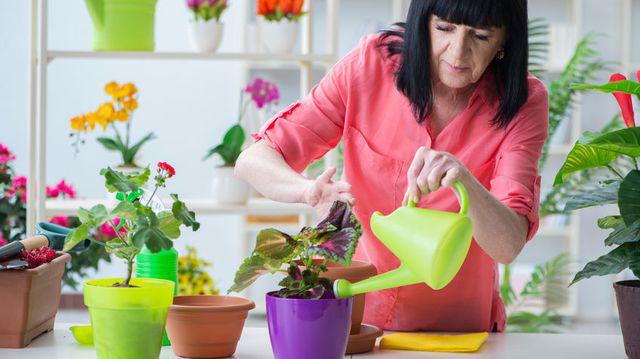 Fertilizatori Naturali Pentru Flori Pe Care Ii Ai Deja In Casă