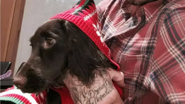 Ce animale de companie şi-au ales vedetele tale preferate