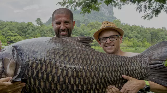 Două documentare în premieră în acest weekend la Viasat Explore: „Crapi monstruoşi” și „Munții vrăjiți din inima Germaniei”
