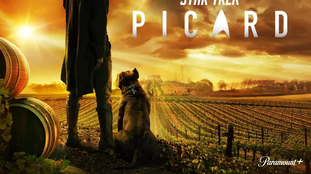 De la „Nouă străini” la „Star Trek: Picard”: 10 seriale bune pe care le puteți vedea la Amazon Prime Video