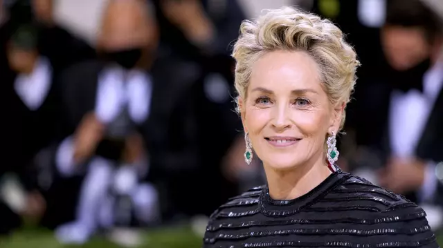 Sharon Stone revine pe micul ecran. Actrița are un rol-cheie în serialul „Însoțitoarea de zbor”, sezonul 2