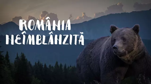De Ziua Internațională a Pădurilor, la TVR 2 „România neîmblânzită”