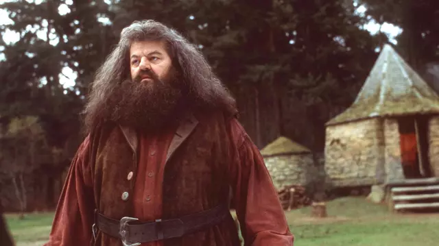 Actorul care îl va interpreta pe Hagrid în serialul „Harry Potter”. Cine îi va lua locul regretatului Robbie Coltrane