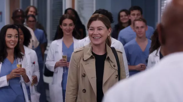 Vezi online grey anatomy outlet