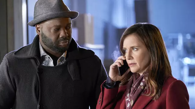 DIVA, filme pline de mister programate în luna ianuarie 2025. Premiere din seriile „Misterele lui Hailey Dean” și „Misterele pețitoarei”, pe listă