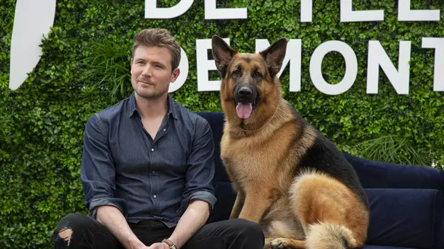 Diesel, câinele star din „Hudson și Rex”, a murit de cancer. Ce se întâmplă cu rolul său în serialul canadian