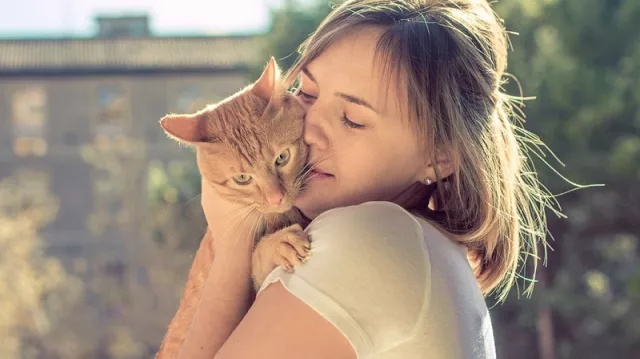 9 motive să adopţi o pisică  Sfaturi Practice  Libertatea pentru 