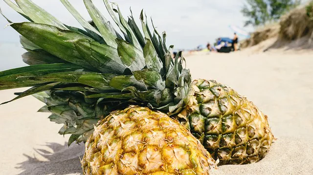 regim de slabit cu ananas cura de slabire vegetariana pe zile