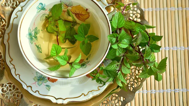 Cele mai bune ceaiuri pentru întărirea metabolismului şi scăderea în greutate | adopta-i.ro