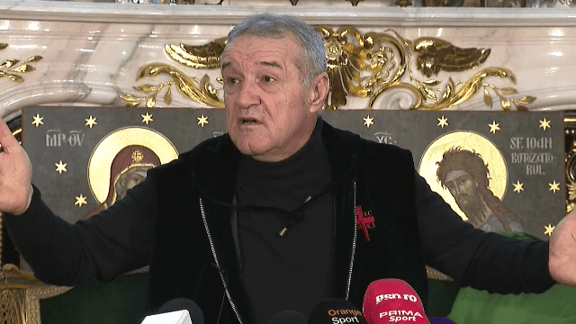 gigi becali afacerist