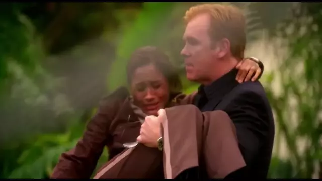 CSI Miami (2010)