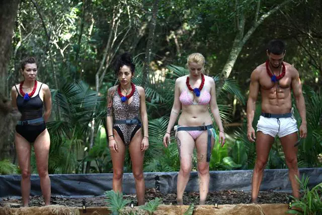concurenti-jungla-sunt-celebru