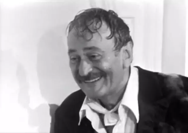 amza-pellea-usa-de-la-baie_TVR