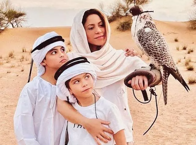 Shakira sur les reseaux sociaux