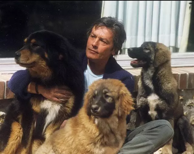 alain-delon-caini
