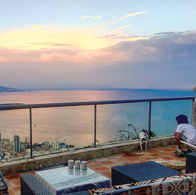 vila-mihaela-radulescu-monte-carlo-1