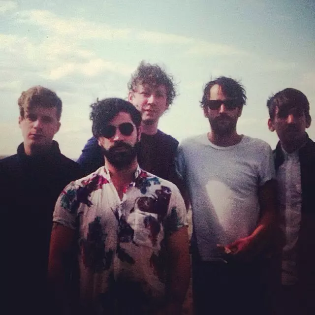 Foals