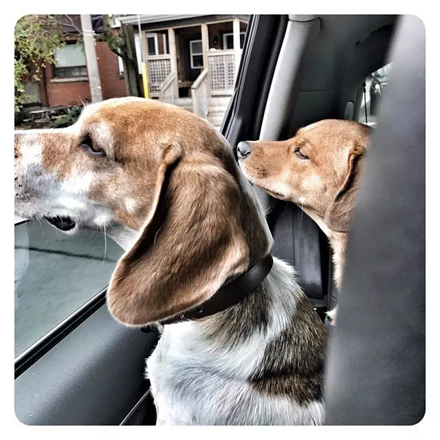 Cele mai bune fotografii postate de Meghan Markle pe conturile ei de socializare (18)